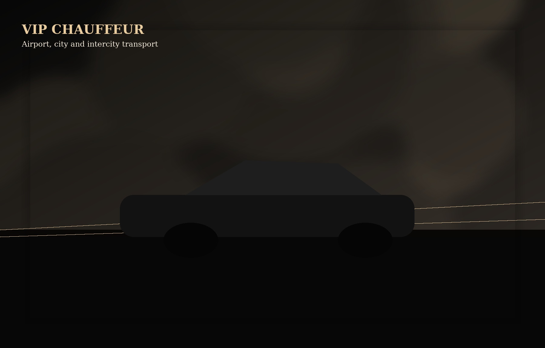 VIP Chauffeur